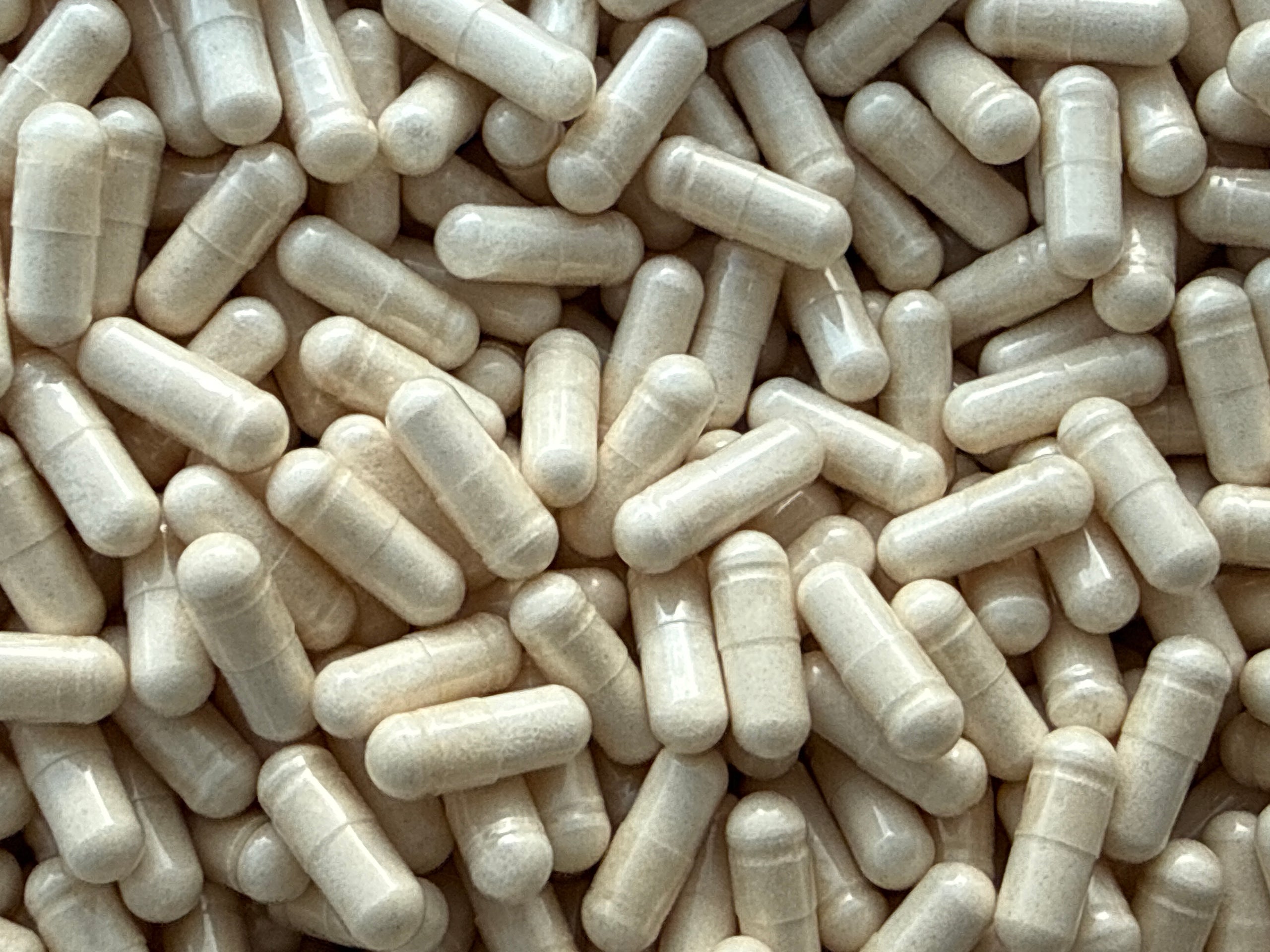 Bêta-ecdystérone 98 % – Capsules – BulkLab Nutrition