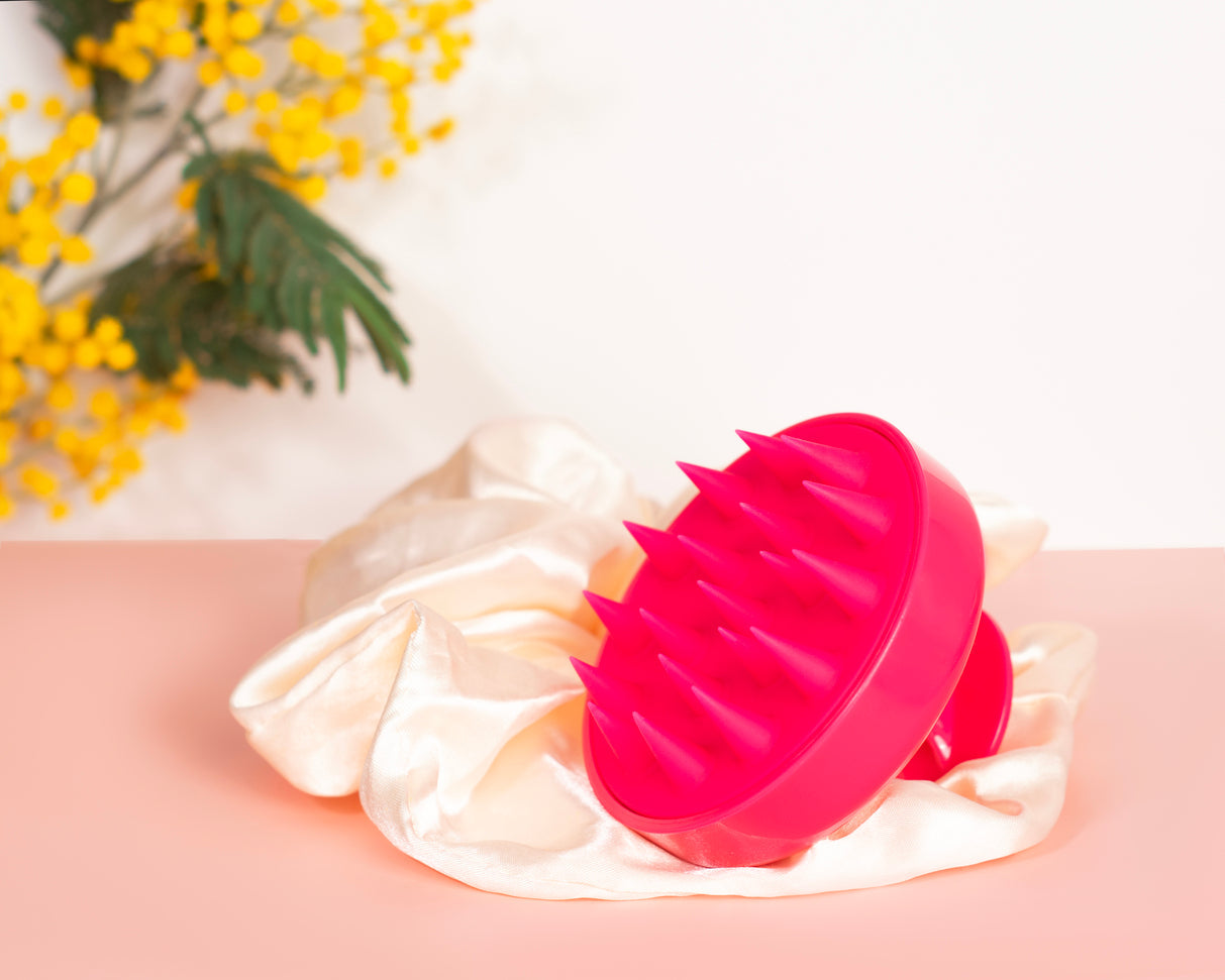Brosse pour cuir chevelu