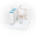 Foam Cleanser Display (50 ml)